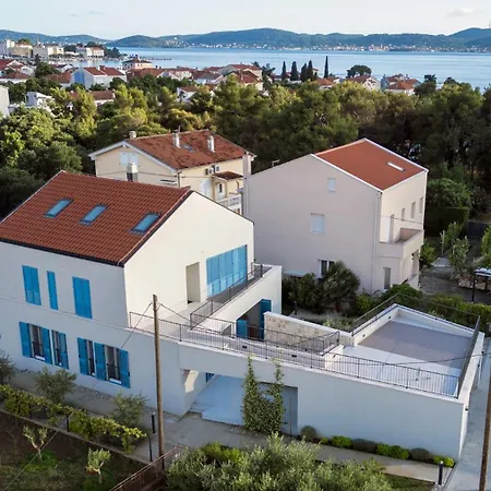 Celtis * Zadar