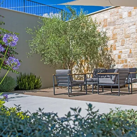Celtis * זאדאר